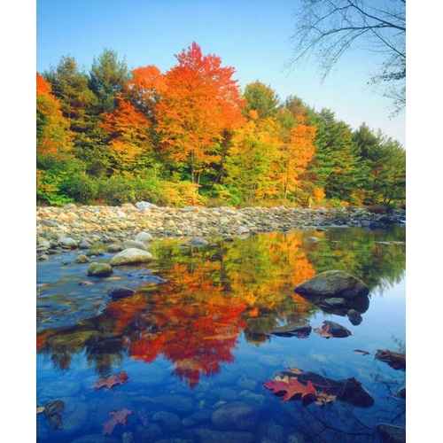 Vermont, Autumn reflecting in a stream